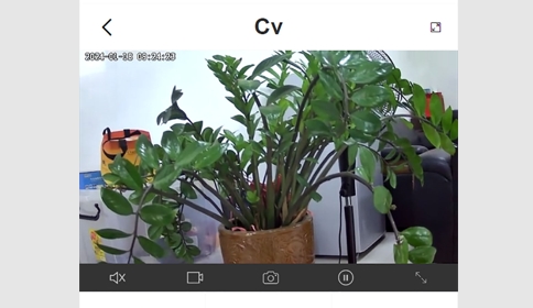 汇视云摄像头app