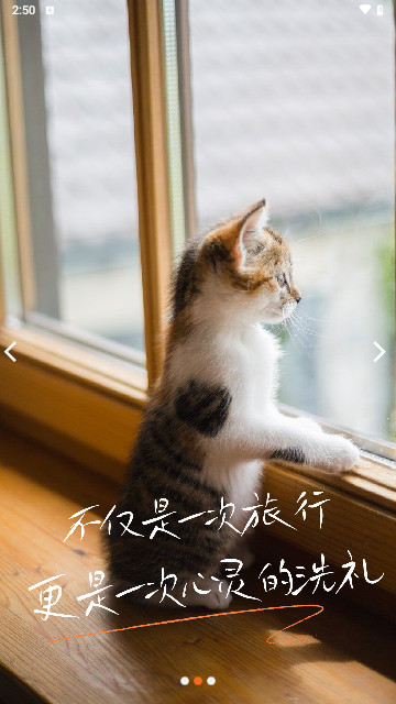 派到