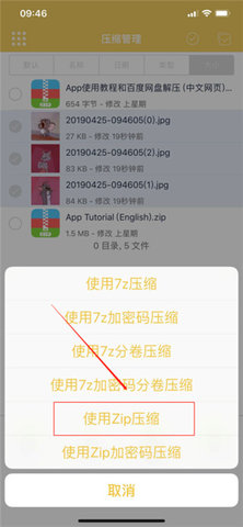 解压专家Pro绿色版
