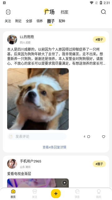 有只宠物