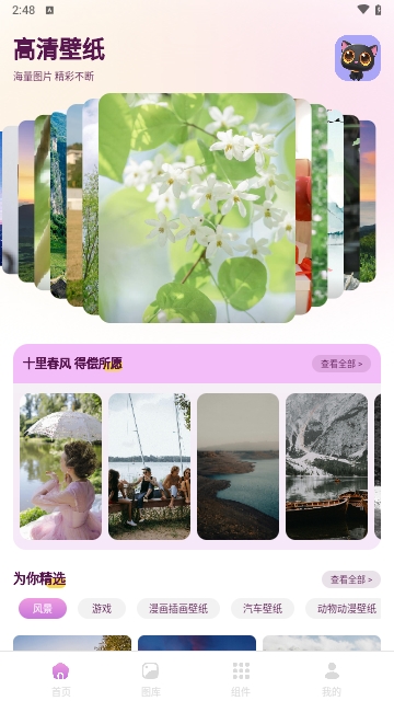 樱次元壁纸