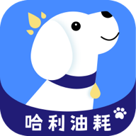 哈利油耗最新版