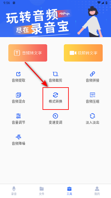 录音王转文字2024最新版