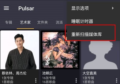 Pulsar音乐播放器专业版