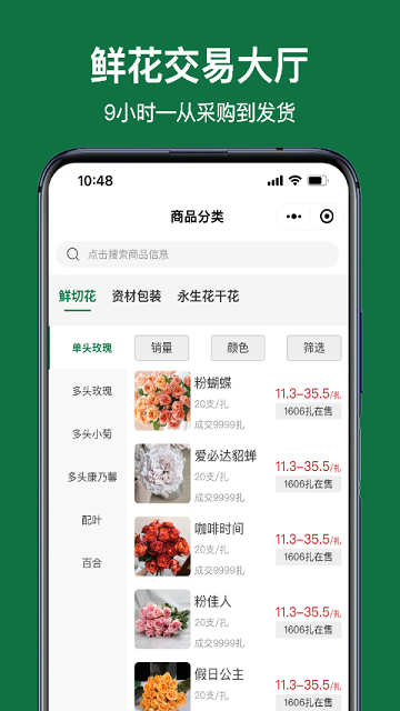 斗南花城
