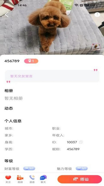 承欢交友免费版