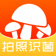 菌窝子2024最新版