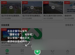 废废2025最新版