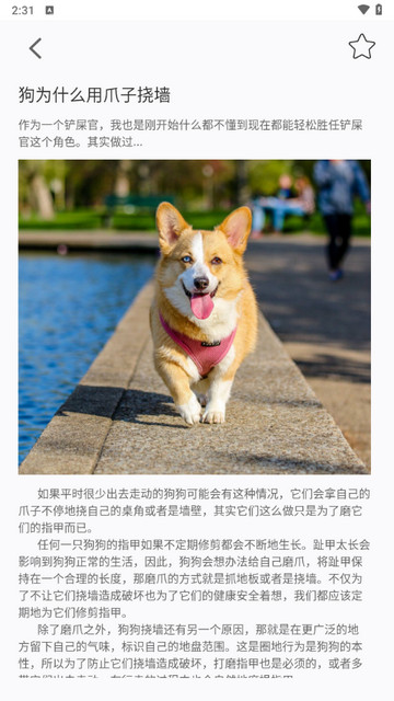宠物记时安卓版
