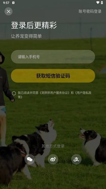 宠胖胖