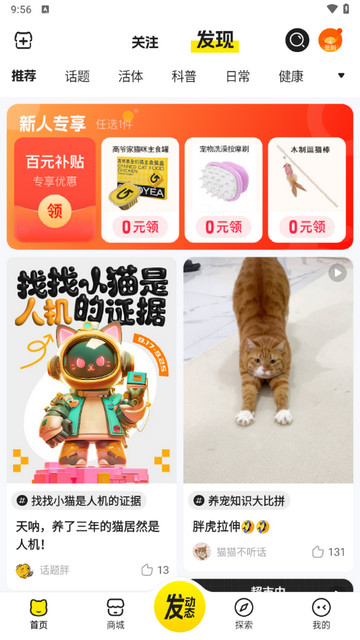 宠胖胖最新版