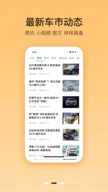 微车违章查询