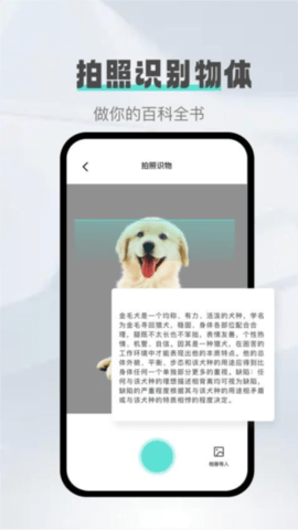 口袋扫描精灵2025最新版