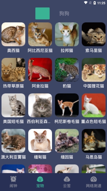 明日闹钟