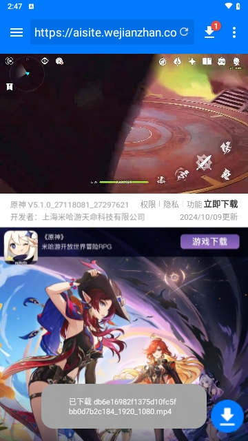 主视频下载器