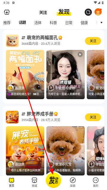 宠胖胖免费版
