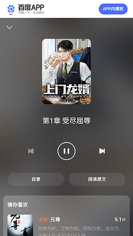 Dv浏览器无广告版