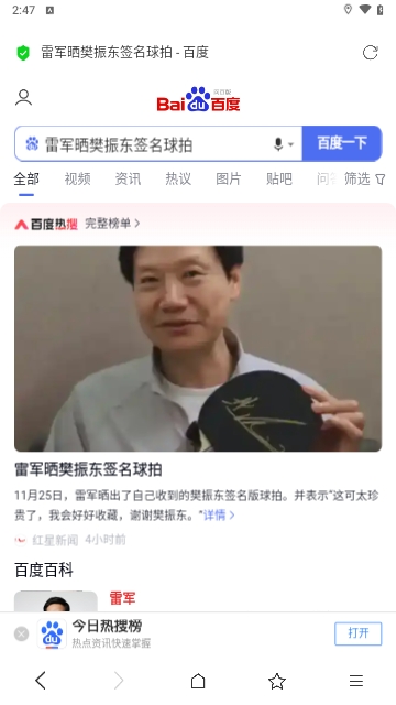 掌上浏览器