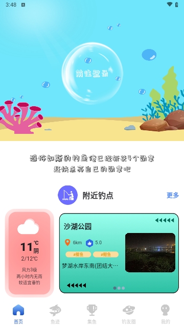 鱼迹