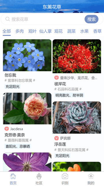 东篱花草手机版