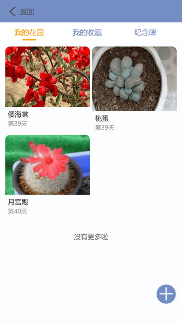 东篱花草
