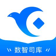 数智司库2025最新版