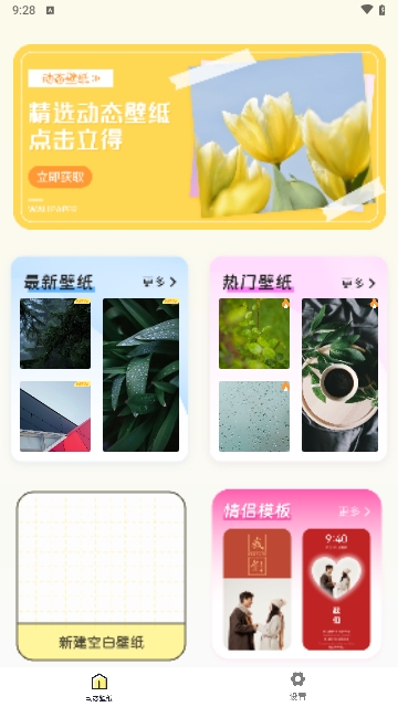 壁纸猫