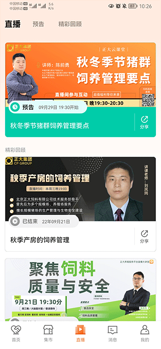 正大猪博士2025最新版