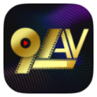 91AV解锁VIP版