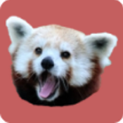 pandroid游戏模拟器App