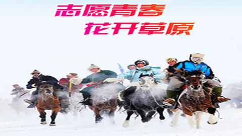 志愿北疆app