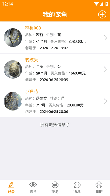龟圈江湖安卓版