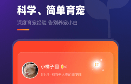 趣爪印官方版