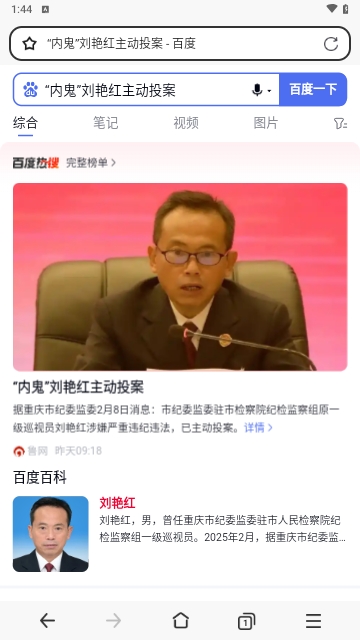 PP浏览器