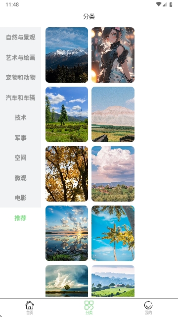 每日淘壁纸
