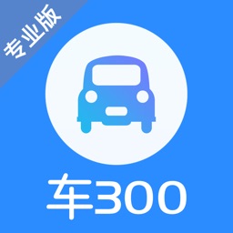 车300估价专业版app
