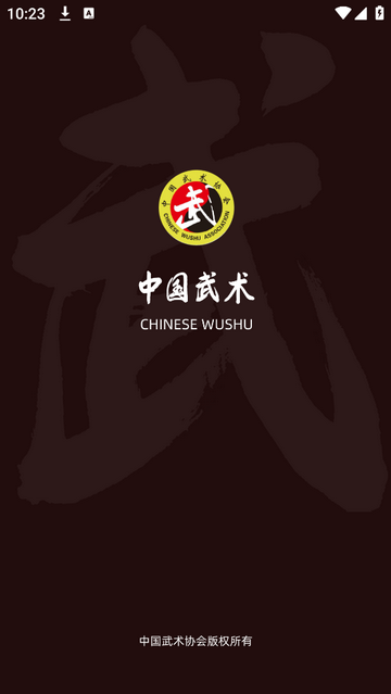 中国武术