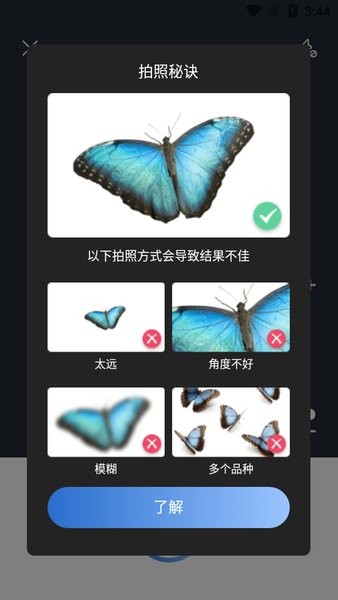 Picture Insect