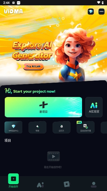 Vidma pro