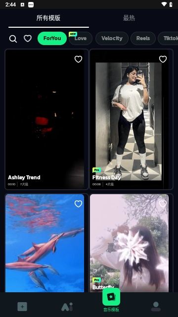 Vidma pro