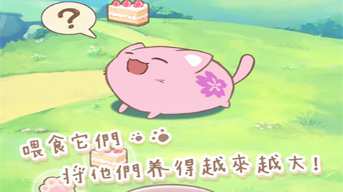 麻薯猫收藏正版