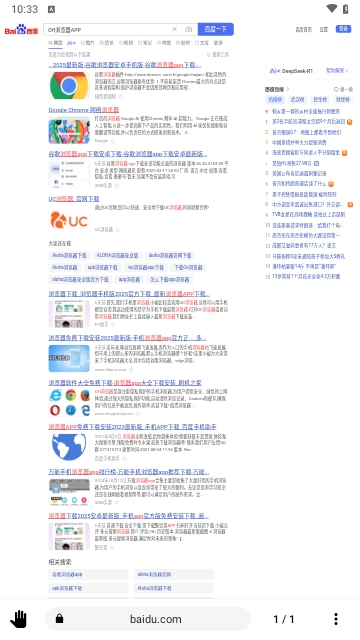 OH浏览器专业版