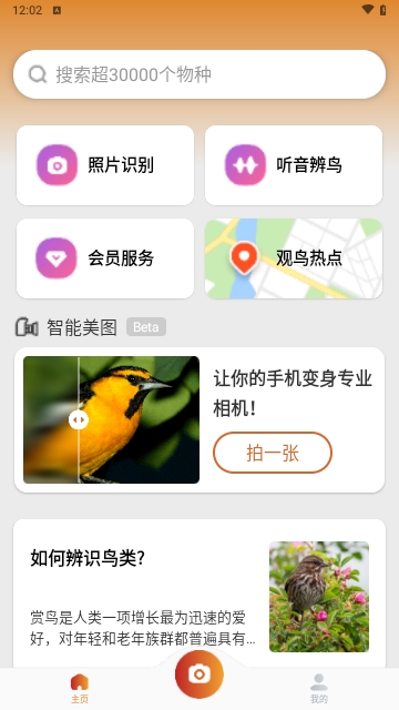 Picture Bird