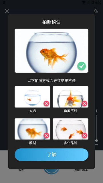 Picture Fish