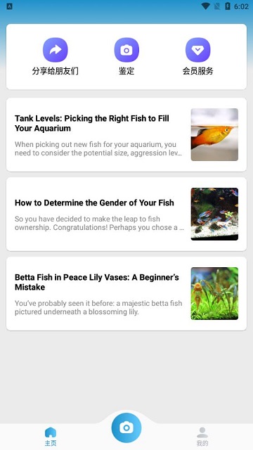 Picture Fish