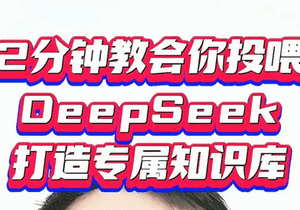DeepSeek怎么投喂数据 DeepSeek投喂的步骤详解