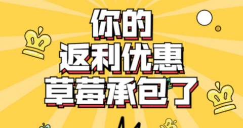 草莓优品正版