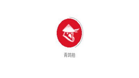 青鸽拍软件最新版