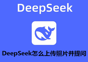 DeepSeek怎么上传照片并提问 DeepSeek上传照片提问方法