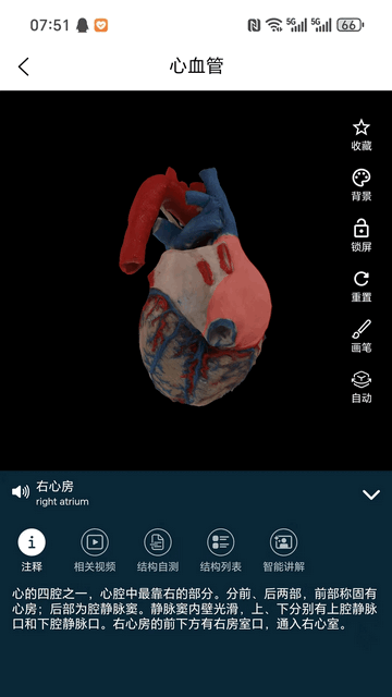 云解剖app最新VIP版